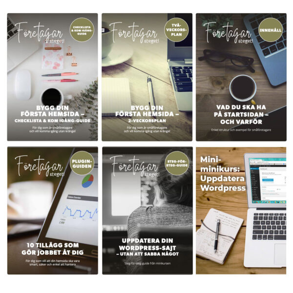 Wordpress Make Busines